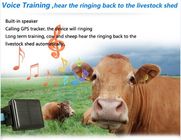 Sheep animal tracking waterproof anywhere gps tracker for persons and pets RF-V26